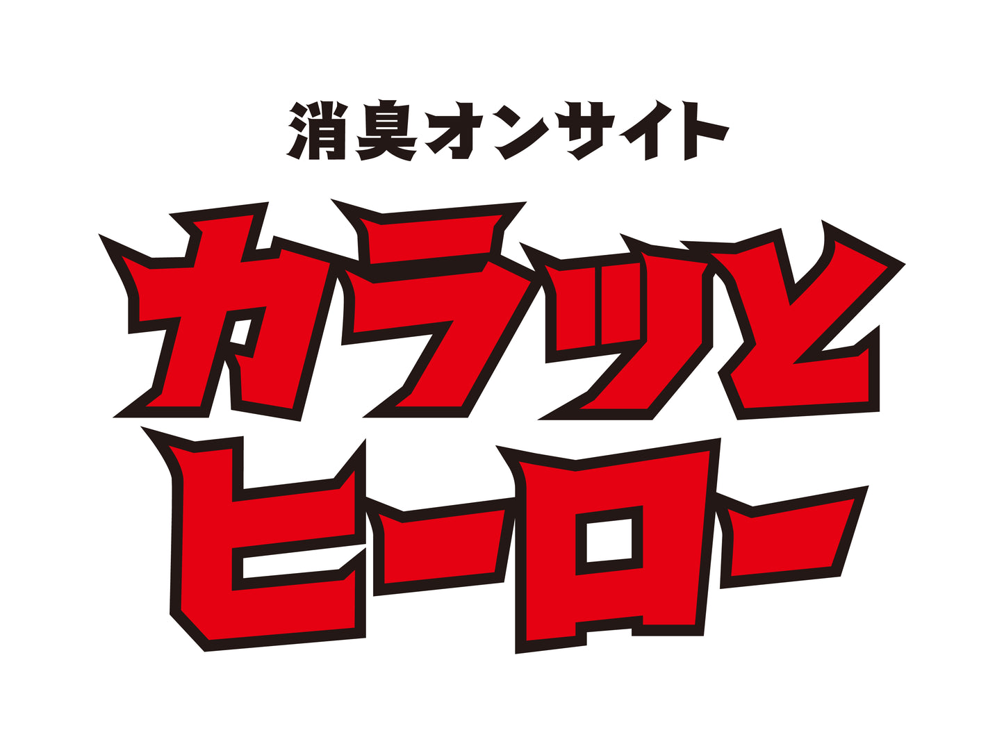 足ムレ・靴のニオイ対策に｜創業70年の消臭・吸湿スティック｜靴に入れるだけ シリカゲル乾燥剤 日本製「カラッとヒーロー 2本入」